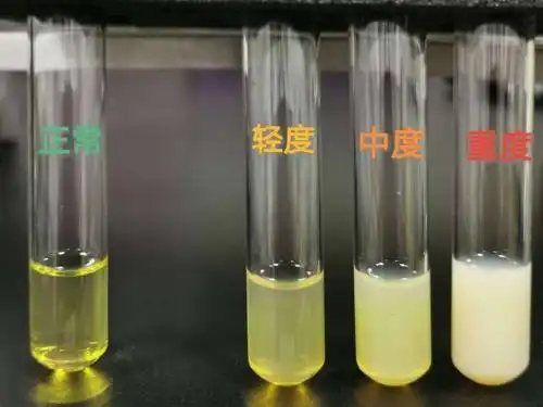 看谁更有营养…比一比看下图当乳糜颗粒在血液中的含量达到一定浓度时