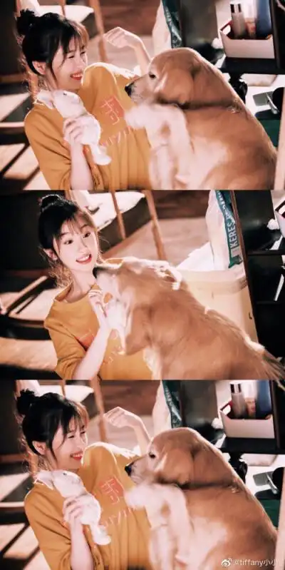 虞书欣三格壁纸