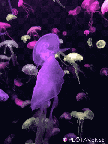 450_600竖版 竖屏gif 动态图 动图