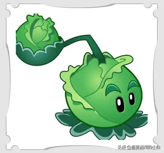 原版植物大战僵尸中存在感最低的植物是什么(植物大战僵尸存在感很低