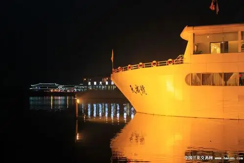 美在长荡湖夜景欣赏