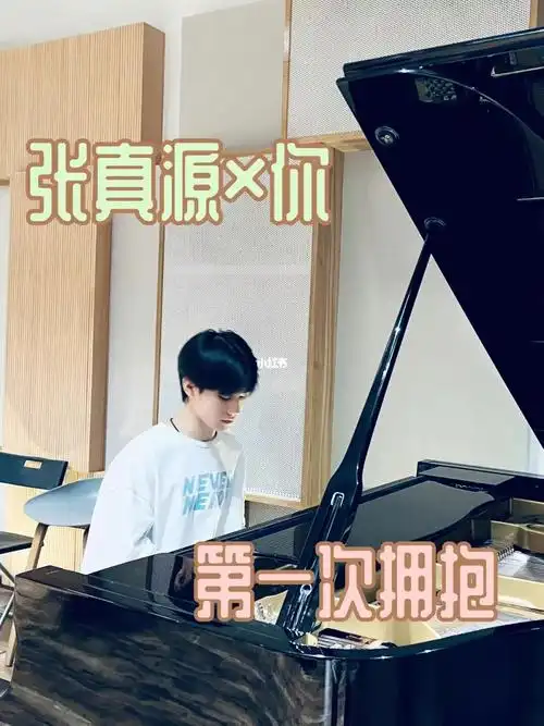 张真源你第一次系列2