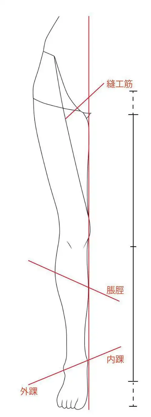 腿部怎么画才好看教你动漫人物腿部画法