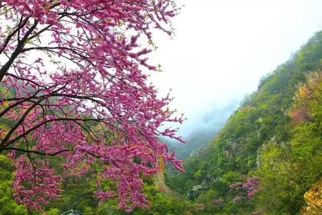 老君洞人文与山水相融合,集道家养生文化,溶洞,山水为一体,野人谷游览