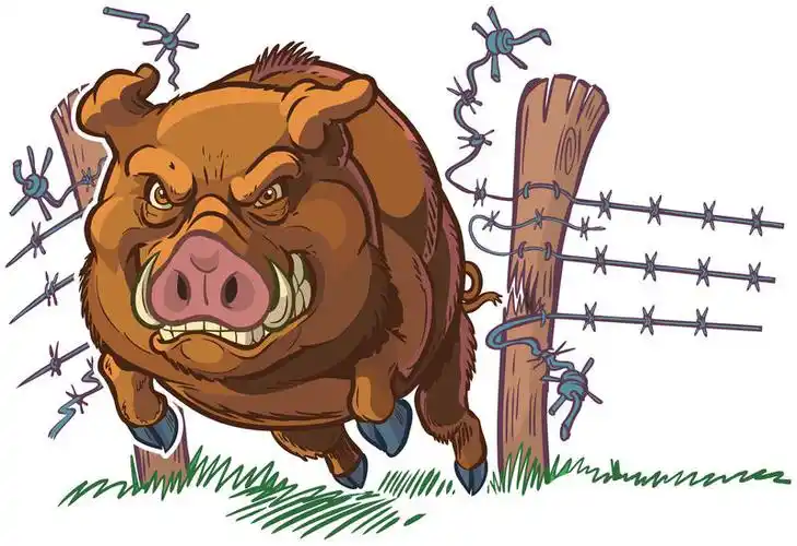 有趣的猪家庭母子有趣的卡通猪和小猪朋友或家人素材-高清图片-摄影照