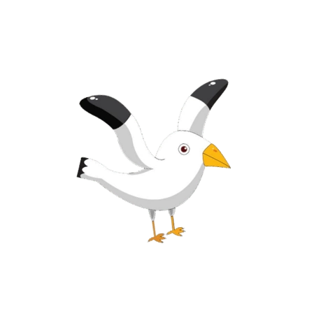 海鸥卡通图片大全
