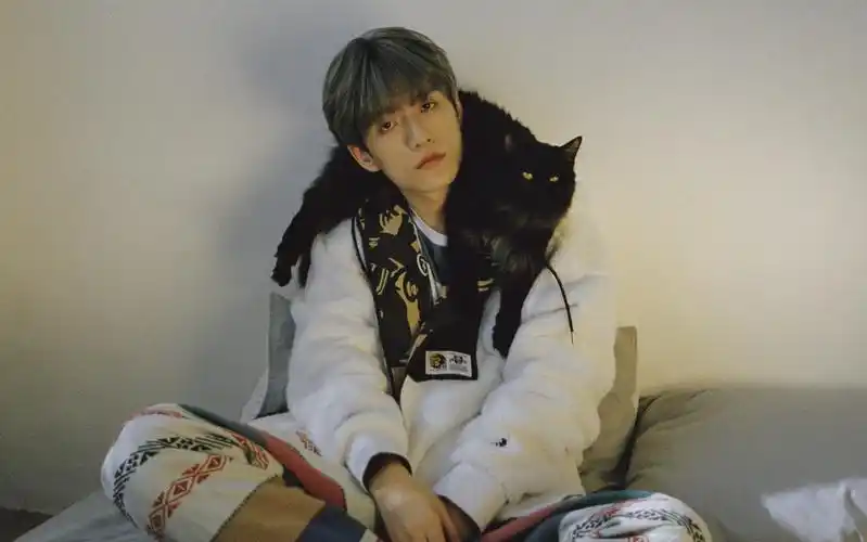 【张颜齐|齐七哈尔】狐狸精||记一次小齐和七哥的感情危机(本视频情节