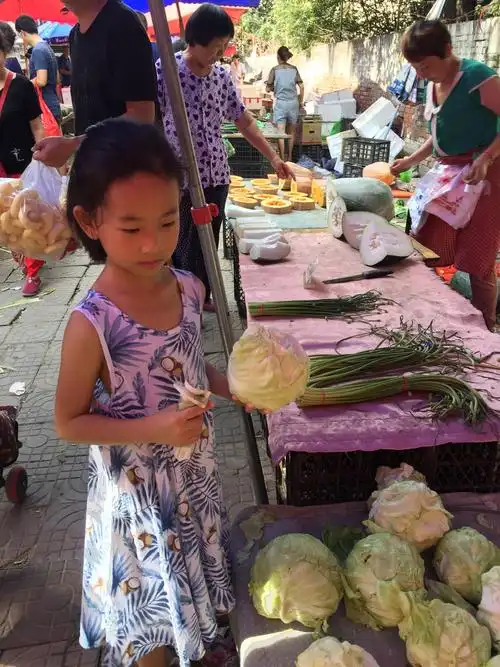 暑假劳动作业:岑墨涵-一年级-五班-54号(菜市场帮妈妈买菜)