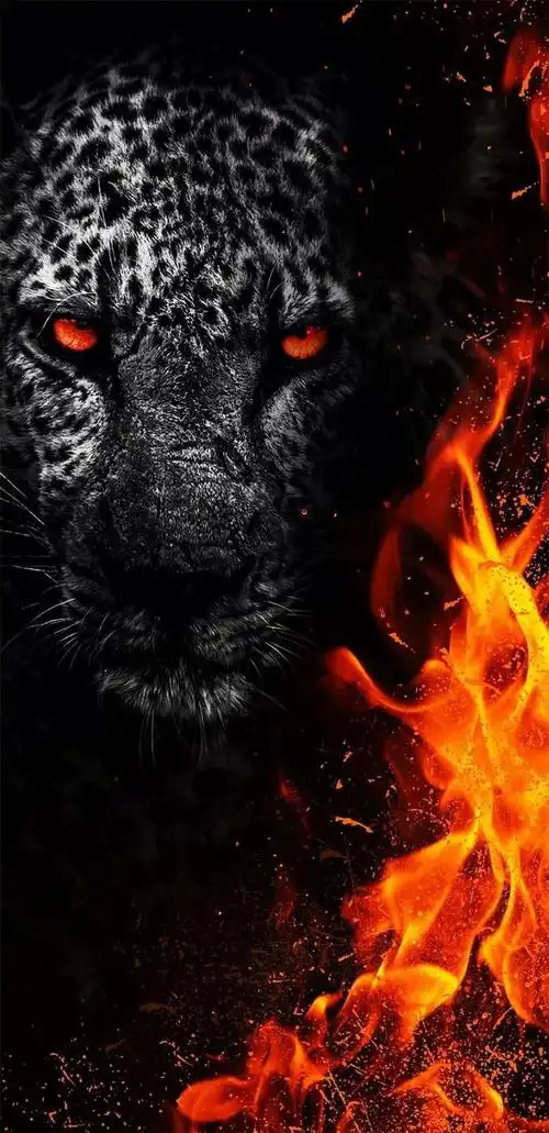 男人霸气说说带图片(微信说说加图片男)