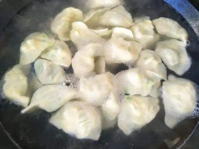 煮饺子时,开锅下入易破皮,牢记3步,煮饺子不破皮不露馅_手机搜狐网