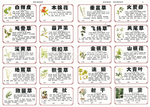 特价包邮正版镀膜中药柜标签贴纸不干胶中草药名称大全带目