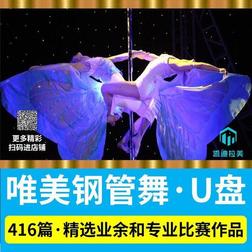 舞蹈u盘唯美钢管舞精选416篇业余和专业欣赏作品mp4视频加密u盘