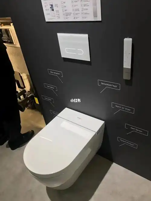 科勒杜拉维特智能马桶