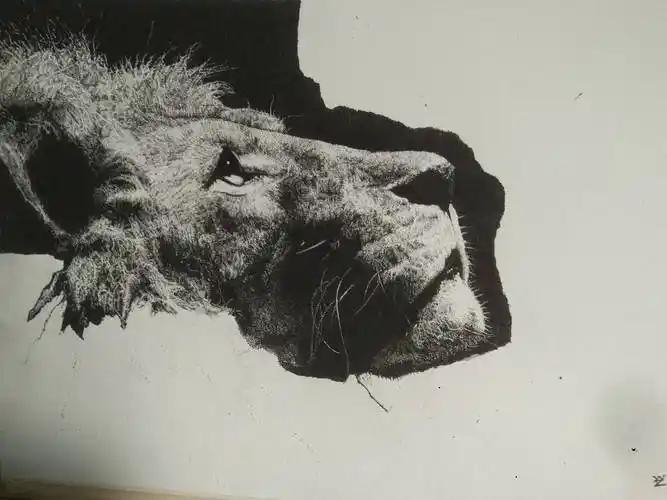 黑白画黑笔画针管笔动物作品信息创作时间2018/03/05点绘14喜欢的作品