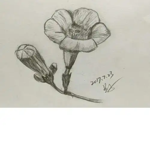 好好自学,天天画画初学素描,我的作业