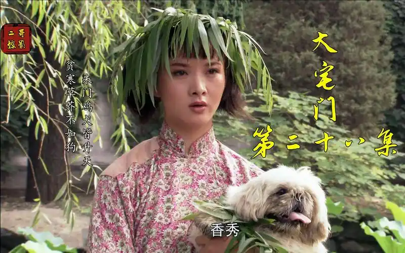 大宅门28:一条狗引起的豪门纠葛,抱狗丫头李香秀初次登场