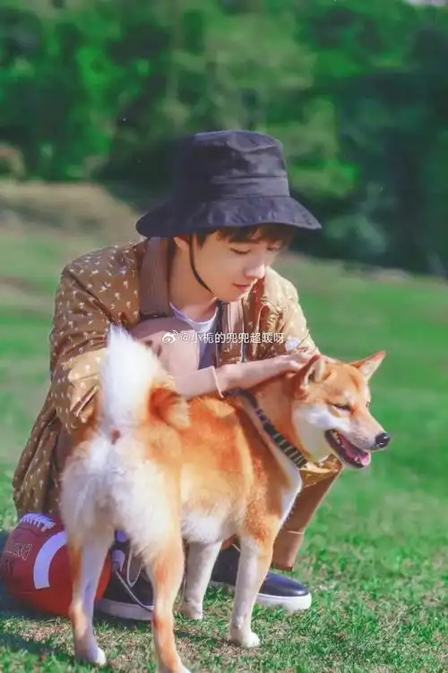 无水印头像册超话壁纸超话#手机壁纸##王俊凯壁纸##全屏壁纸##王俊凯