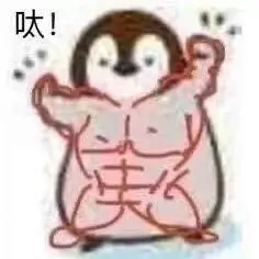 求一只小企鹅的腹肌表情包