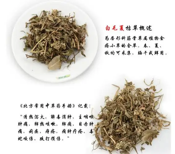 白毛夏枯草散血草金疮小草青鱼胆草苦草中药材批发包邮
