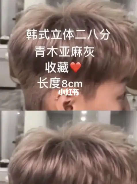 颜色推荐亚麻色系_男士发型_女朋友_男士发型参考_时尚_发型