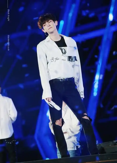 exo三巡演唱会壁纸灿烈朴灿烈