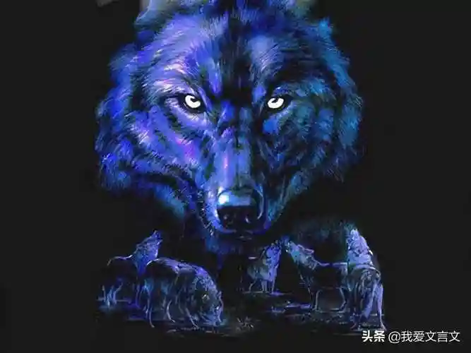 狼子野心文言文狼子野心文言文的意思