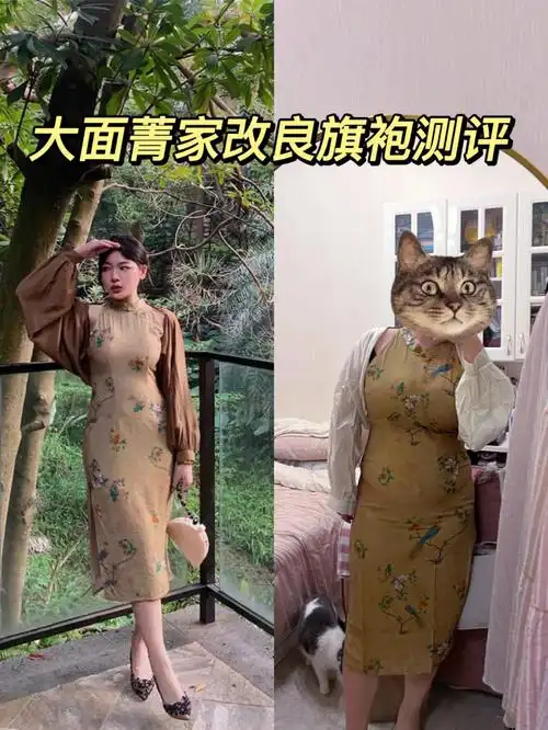 改良旗袍丨大面菁
