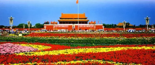 致敬祖国 致敬国旗