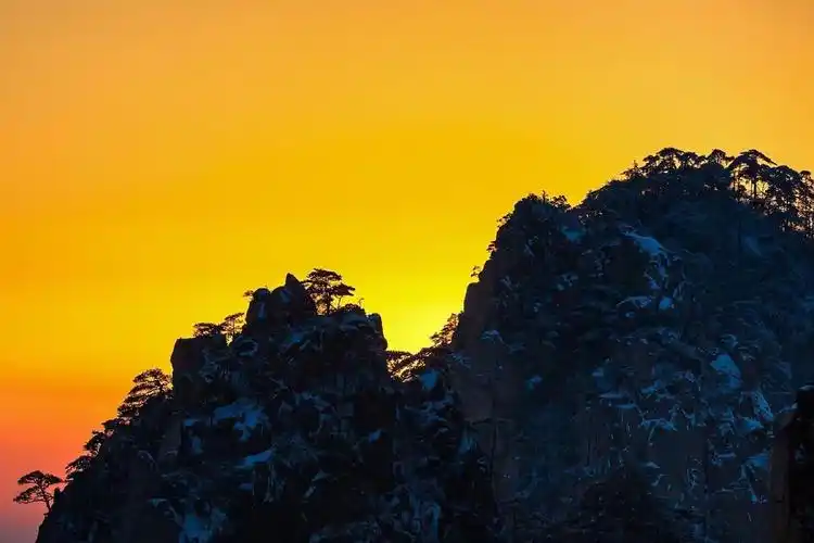 有哪些好看的全面屏手机壁纸