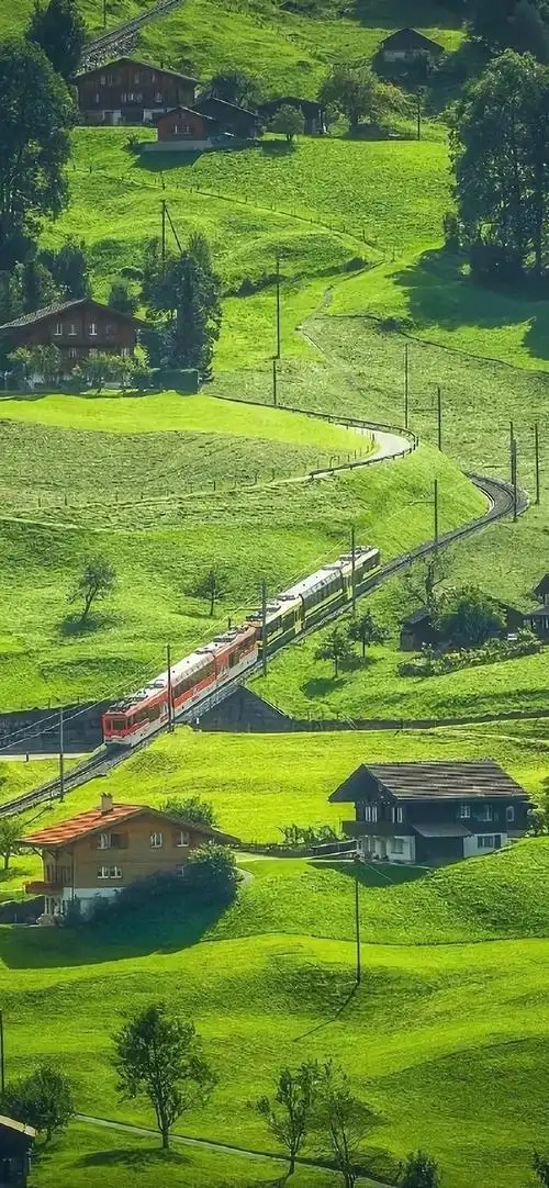 有什么保护眼睛的手机壁纸,求推荐?