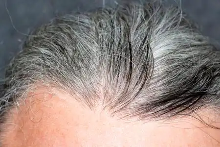 岁男子的肖像在白色背景成年的白发男子成年的白发男子自信和成功的老