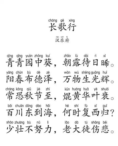 每天一首诗长歌行汉乐府