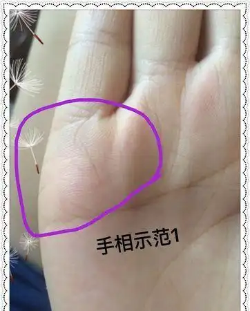 子女线双胞胎真手图,看手纹知道有几个孩子图3