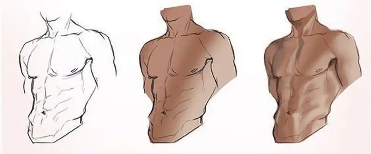 男神腹肌画法教程