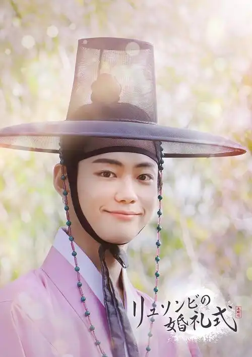 柳书生的婚礼 海报