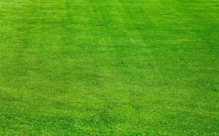 前段时间网上流行一个绿草地的背景,但是用在微信上用后,结果群里聊天