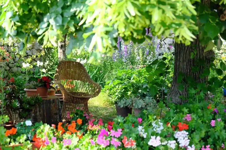 清新美丽的小花园1440x900分辨率查看