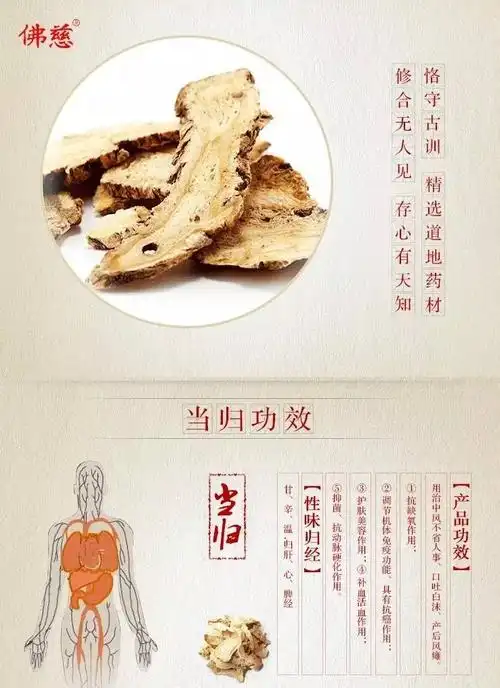 中草药小知识之当归