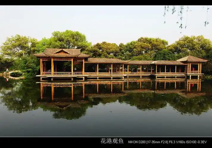 醉美浙江西湖十景之花港观鱼②