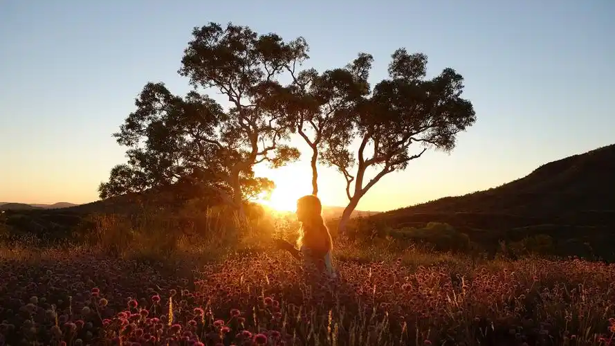 美女背影唯美高清桌面壁纸图片