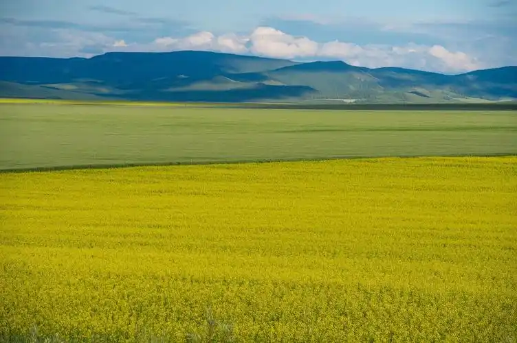 2021你不可错过的少数民族风光背起行囊去旅行吧