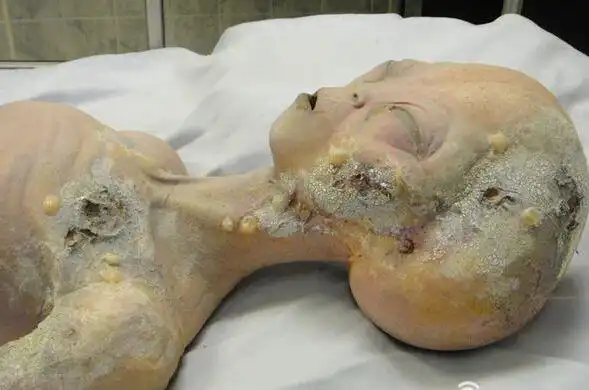 外星人曾隐居地球奇怪形状的尸骸已被发现