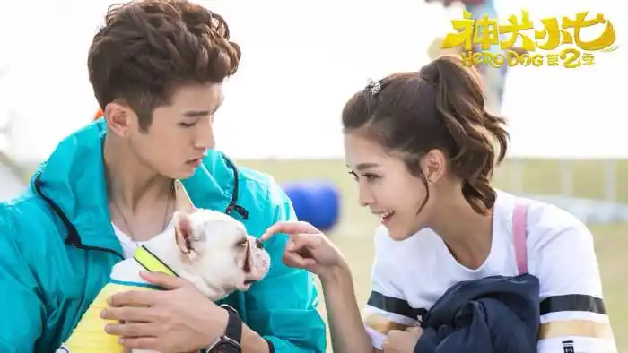 神犬小七2 # 高清剧照 张云龙 王洋 欧叶 …-堆.