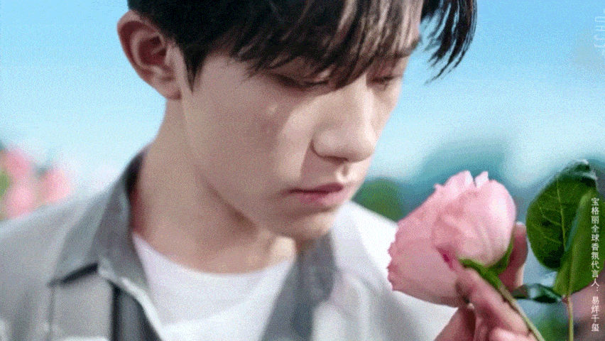 易烊千玺绝美动图来袭,玫瑰园里的花儿与少年
