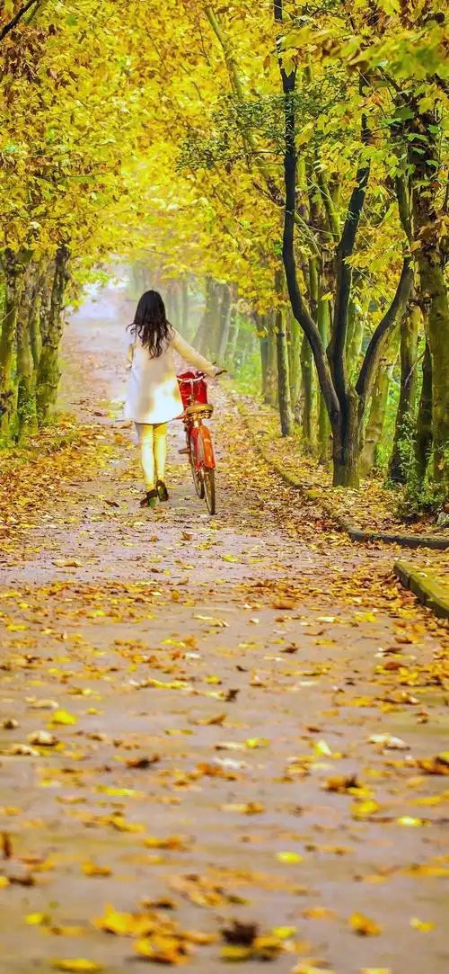 秋日清晨的背影