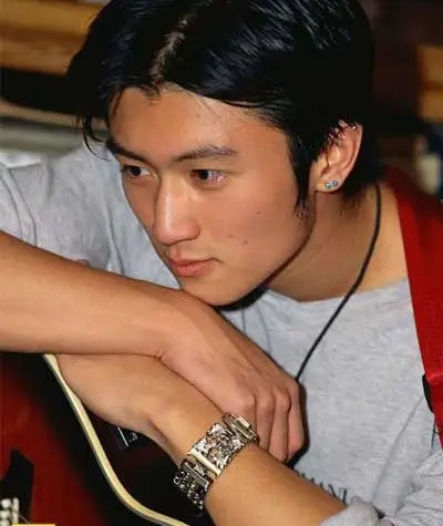 谢霆锋出道十周年纪念