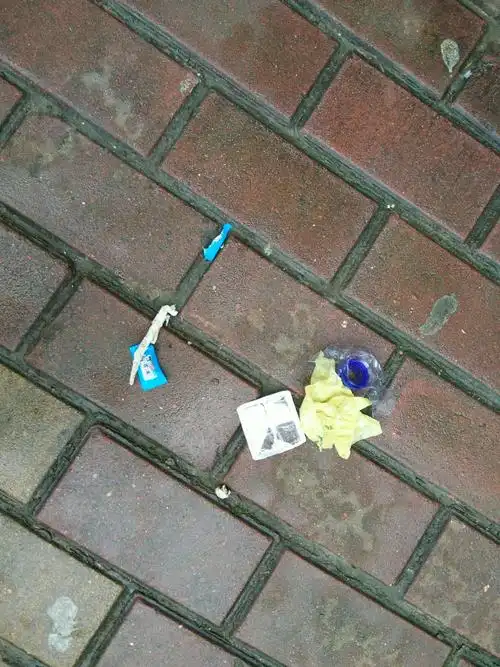 随处可见的果皮纸屑