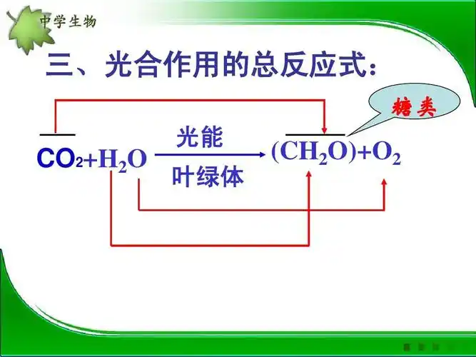 光合作用过程ppt 光合作用过程(优质课评比) 三,光合作用的总反应式