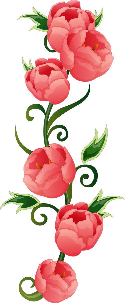 png透明背景素材