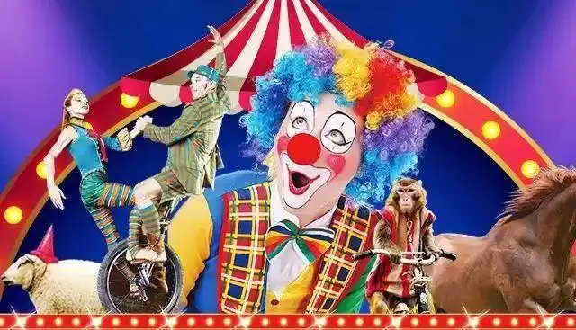 节目单|马戏|动物表演|杂技|马戏团_网易订阅